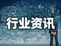 榉树10月优良行道树报价：