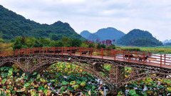 普者黑天鹅湖湿地升级萌
