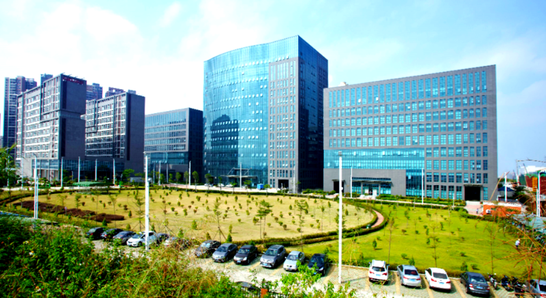 宜昌沛林景观苗木在市政绿化工程中的应用案例及养护要点