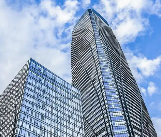 景观树移栽成活率提升的关键技术与实施方案