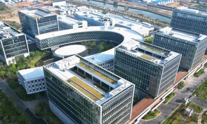 景观树移栽成活率提升方案：从选苗到栽后管理全解析